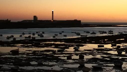 Azoteas y torres miradores de Cádiz